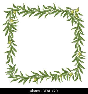Square frame of olive tree branch vector illustration. Hand drawn wreath with leaves and twig in botanical style. Green floral element for menu template. Perfect for logo design and product packaging. Stock Vector