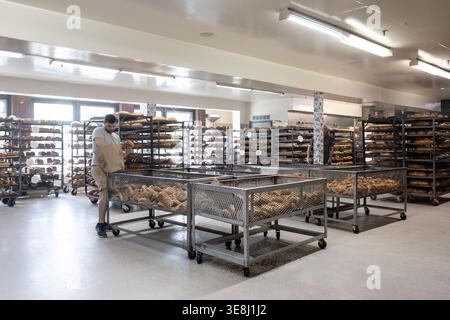 A shopper sorts freshly baked loaves on racks and rolling bins inside the sprawling Rockland Bakery production floor in Nanuet, NY. Stock Photo