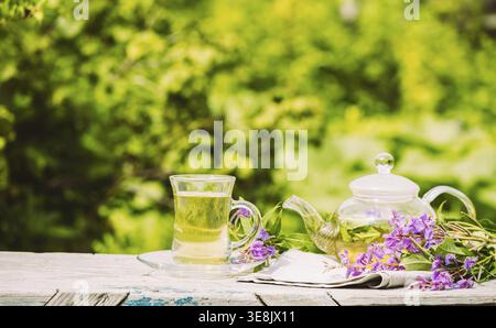 Tea with fresh lemon balm summer herbs clover leaves in glass cup and teapot on wooden rustic background. Antioxidant medicinal herbal drink. Selectiv Stock Photo