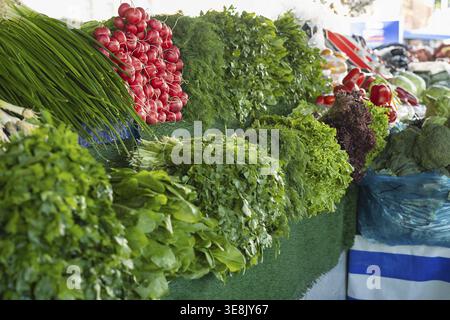 Colorful fresh herbs and vegetables on farm market counter. Green onions, red radishes, dill sprigs, cilantro bunches, spinach, lollo rosso lettuce. S Stock Photo