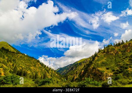 Serene landscape of a mountain valley surrounded by lush green hillsides and trees in Kyrgyzstan. Bright blue sky with fluffy white clouds enhances th Stock Photo