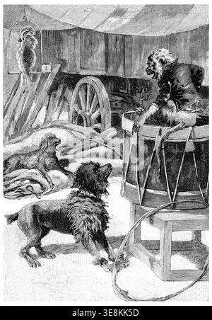 Hunting Dog - Vintage Engraved Illustration 1889 Stock Photo - Alamy