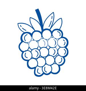 Raspberry fruit vector blue line art doodle berry icon for summer branding Stock Vector