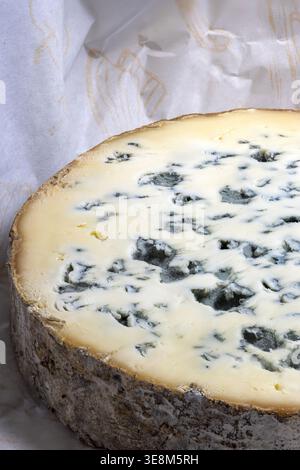 Close up shot of a slice of Fourme d'Ambert cheese in its wrapping paper. Stock Photo