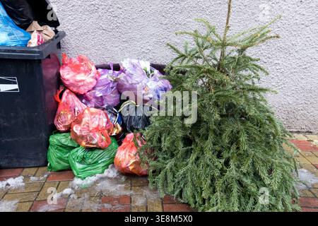 Discarded Christmas tree and plastic bags with trash next to a garbage bin in Winter Stock Photo