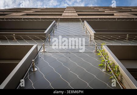 Green facade with metal trellis and climbing plants on modern house exterior promoting sustainable urban design Stock Photo