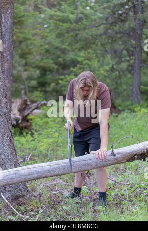 Young man with long blond hair bends over large, fallen log, actively using bow saw to cut it into smaller pieces. He is fully concentrated on task. Stock Photo