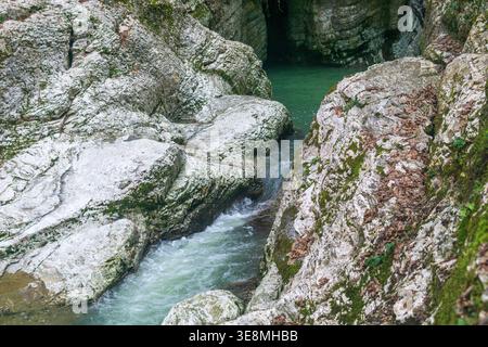 Canyon in the forest. Mountain stream flows through the gorge. Stock Photo