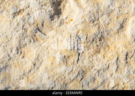Detailed view of a natural stone surface showcasing its rugged texture and varied shades of beige and yellow Stock Photo