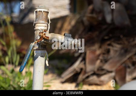 A close-up view of a weathered outdoor tap with a single drop of water falling from its spout, set against a blurred background of greenery and palm f Stock Photo