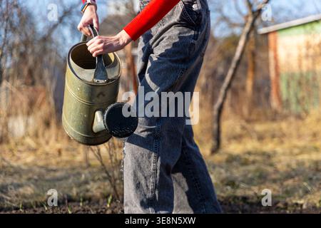 Carrying watering can through backyard garden. Close up of a person carrying a metal watering can in a sunny garden, with dripping water and a rustic Stock Photo