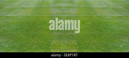 Green grass texture of a soccer field. Stock Photo