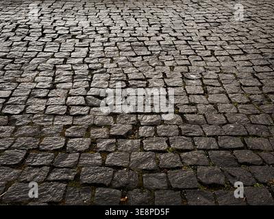 Close-up textured background view of natural earth ground with scattered stones, rocks, and patches of green grass. Stock Photo