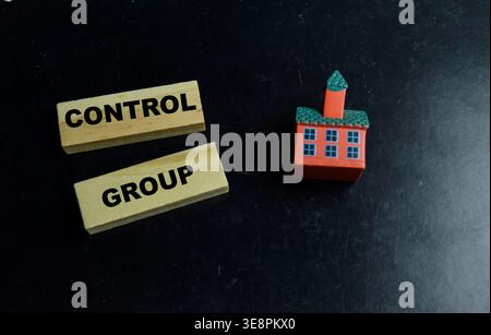 Concept of text control group on wooden blocks. For scientific research and clinical trials Stock Photo