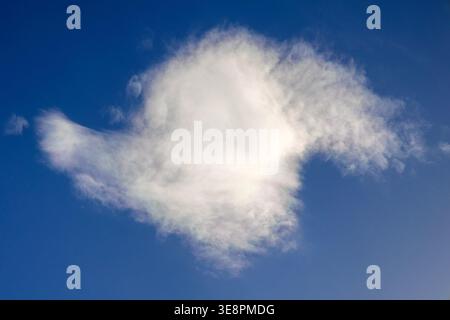 Isolated cumulus cloud formation against clear atmospheric blue sky background Stock Photo