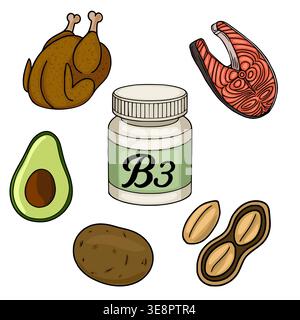Vitamin B3 sources vector illustration: salmon, chicken, avocado, potato, peanuts, and supplement bottle Stock Vector