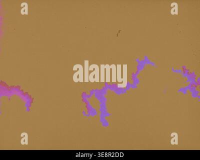 Abstract minimalist background with purple and pink glowing spots on golden brown texture. Grungy digital art with neon corrosion effect. Stock Photo