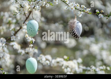 Pastel Easter eggs on flowering tree branch Stock Photo