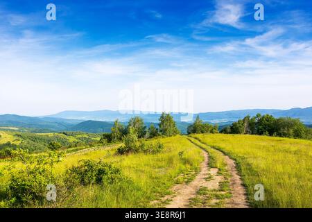 dirt road winding through grassy field in carpathian mountains. beautiful rural landscape of ukraine in summer. scenic view of a green countryside sce Stock Photo