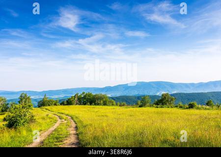 dirt road winding through grassy field in carpathian mountains. beautiful rural landscape of ukraine in summer. scenic view of a green countryside sce Stock Photo