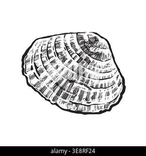A hand-drawn vector seashell in ink. Monochrome illustration of a sea mollusk for nature-themed designs. Suitable for printing on fabric, paper Stock Vector