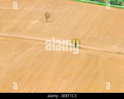 Aerial view of plowed agricultural fields with tractor tracks and two isolated trees in Ficulle, Umbria, Italy. Stock Photo