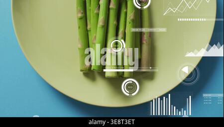 Displaying asparagus bundle undergoing scan as overlays appear on green plate in studio for quality Stock Photo