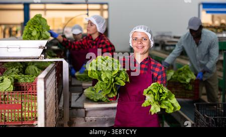 Portrait of positive woman vegetable factory worker with lettuce Stock Photo