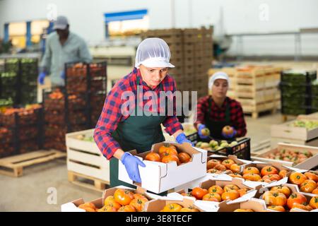 Women stack crates of tomatoes in vegetable factory warehouse Stock Photo
