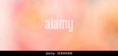 Soft peach pink and orange pastel abstract blurred gradient background Stock Photo