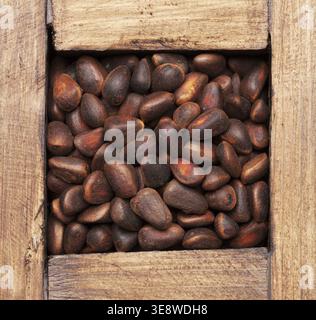 Pine nuts in wooden box. Top view Stock Photo