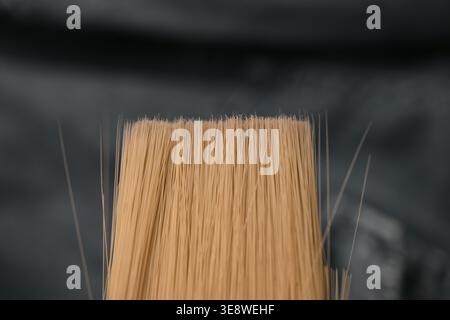 Paint Brush Bristles Macro — Fine Hair Detail with Soft Defocused Backgrounds Stock Photo