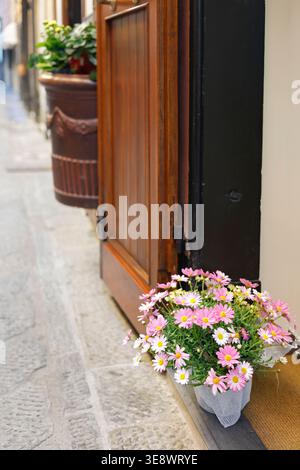 Pink daisy flowers in pot at entrance of traditional Italian house with copy space. Eye-level shot features wooden door and stone street in Stock Photo