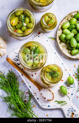 Homemade food: Pickled cucamelons (pickled cucumbers, pickled gherkins), grown in a organic garden Stock Photo