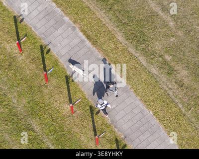 Aerial view of two people and a dog walking along a stone tile path with long shadows cast over the green grass in Taiwan. Stock Photo