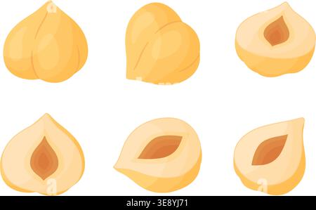 Flat vector set of peeled hazelnut kernels, whole nuts and half cuts. isolated on transparent background. For stickers, menus, confectionery branding, healthy snack packaging, culinary icons. Stock Vector