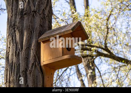 Wooden birdhouse mounted on a large tree trunk with blooming spring trees in the background Stock Photo