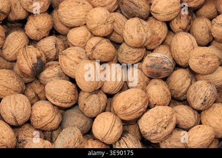 Many walnuts are grouped closely on a table at a market. They appear in their shells and are ready for buyers. People may be looking to purchase them. Stock Photo