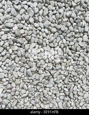 White pebble stones covering ground creating a clean natural texture background suitable for design and minimal concepts. Stock Photo