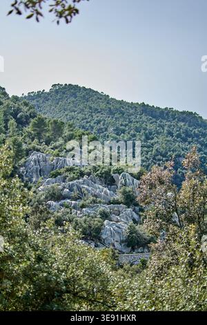Jagged limestone karst formations rising from a dense Mediterranean forest in the Tramuntana mountains. Stock Photo