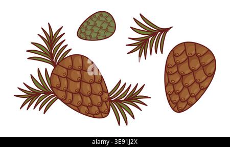 Pine Cone Set. Branches, Green Baby Cone And Brown Pine Cone. Isolated Botanical Elements. Vector Illustration Stock Vector