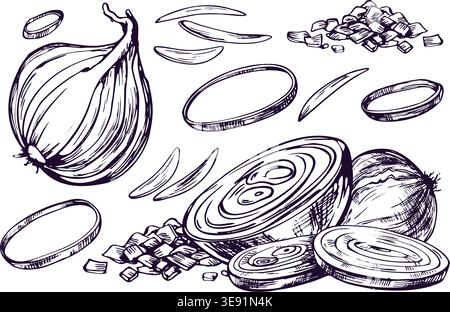 Set of hand drawn onion vegetable illustration. Outline sketch of whole and sliced bulb for culinary art. Monochromatic ink drawing for menu design Stock Vector