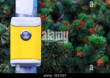 Close up of a yellow pedestrian crossing push button mounted on a metal pole, with evergreen foliage in the background. Urban street safety and traffi Stock Photo