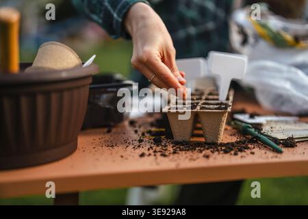 Gardener's hand carefully placing tiny seeds into cell starter trays filled with dark potting soil, preparing young plants for a fertile growth cycle Stock Photo