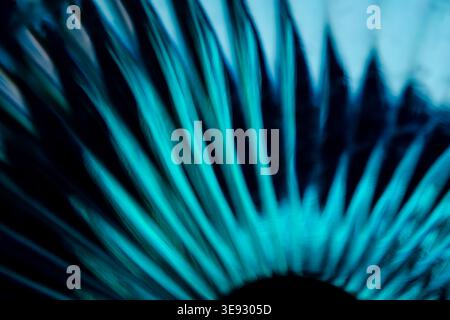 Abstract bright cyan glowing light rays exploding outward in a radial burst Stock Photo