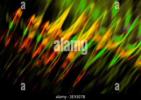 Abstract wavy light flow with bright green and orange colors creating a smooth dynamic texture Stock Photo