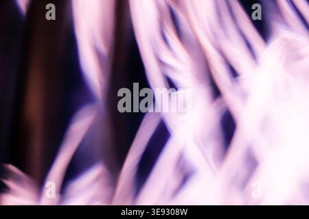 Soft pink and purple abstract light trails with elegant motion blur Stock Photo