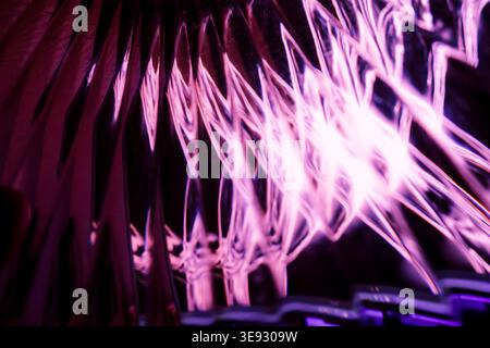 Vibrant purple and pink neon light trails forming abstract electric waves Stock Photo
