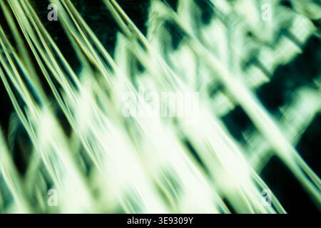 Diagonal abstract background with soft glowing light green and teal neon lines Stock Photo