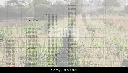 Overlaying data overlay over rural field, showing dotted bars, line graphs, percent labels, crops Stock Photo